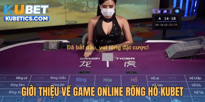 Giới thiệu vài nét về game online Rồng Hổ Kubet